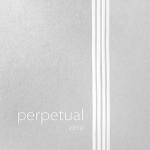 Perpetual