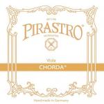 Chorda